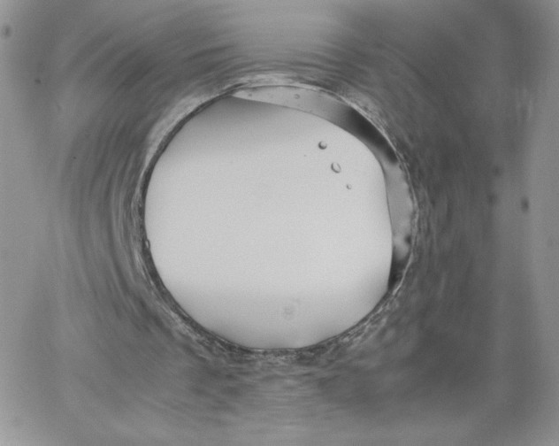 X0000066020289200603241542