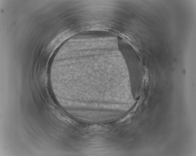 X0000066020290200603241542