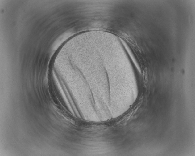 X0000066020292200603241542