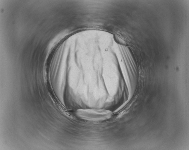 X0000066020294200603241542