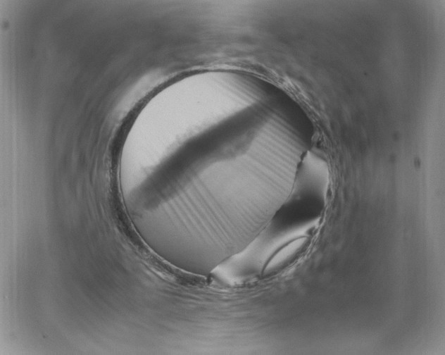 X0000066020295200603241542