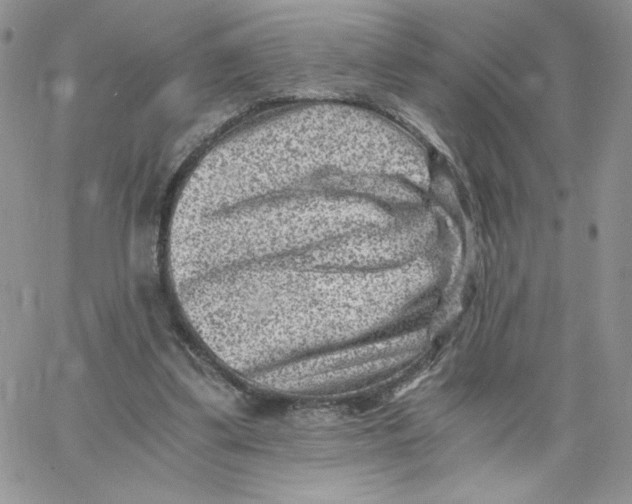 X0000066020299200603241542