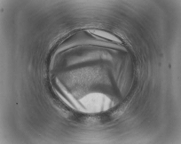 X0000066020303200603241542