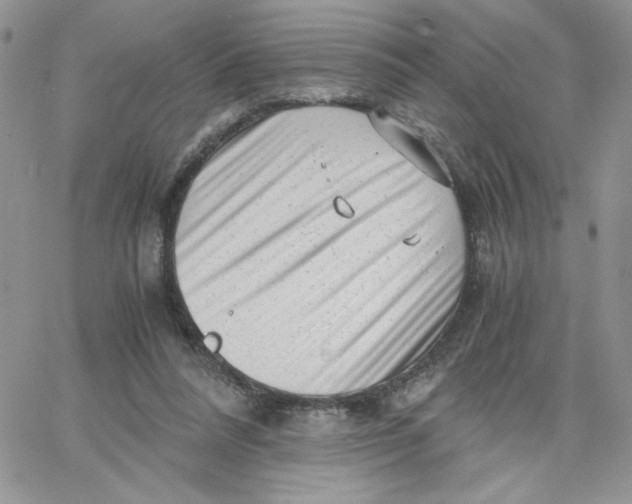 X0000066020304200603241542