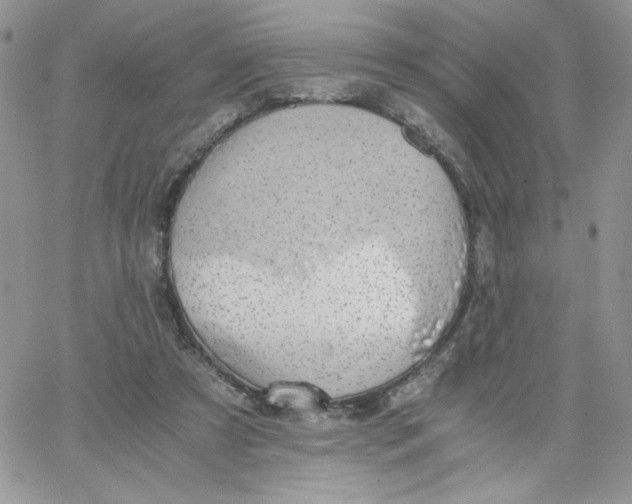 X0000066020305200603241542