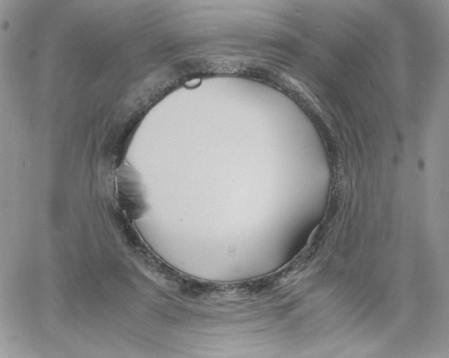 X0000066020307200603241542