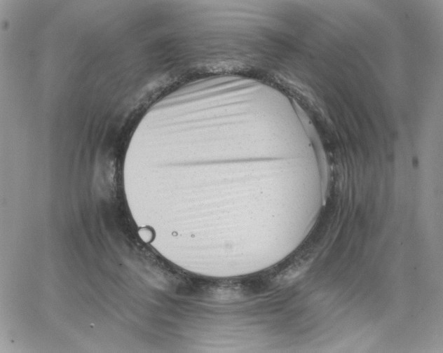 X0000066020308200603241542