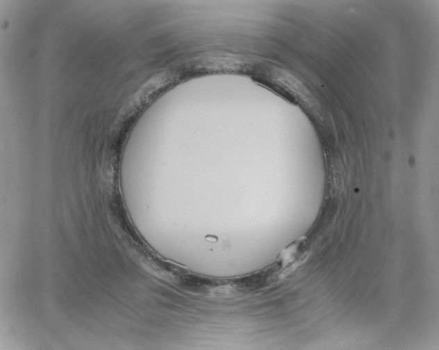 X0000066020309200603241542