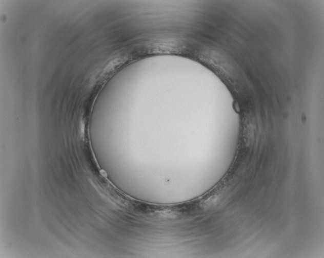 X0000066020310200603241542