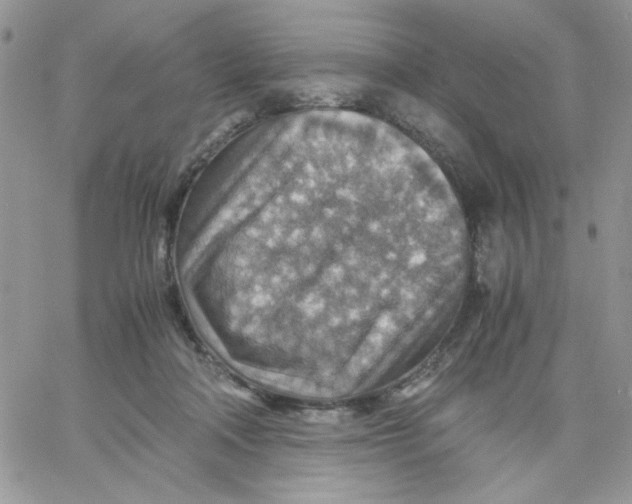 X0000066020314200603241542