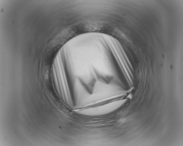 X0000066020315200603241542