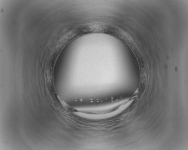 X0000066020317200603241542