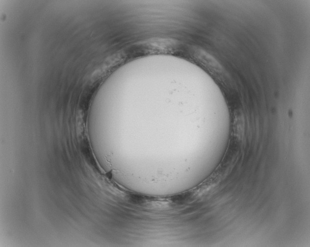 X0000066020318200603241542