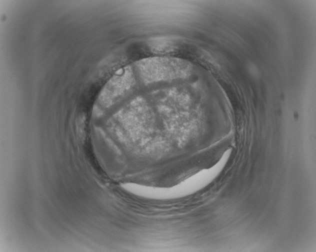 X0000066020319200603241542