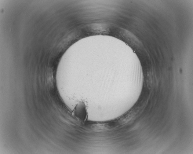 X0000066020320200603241542