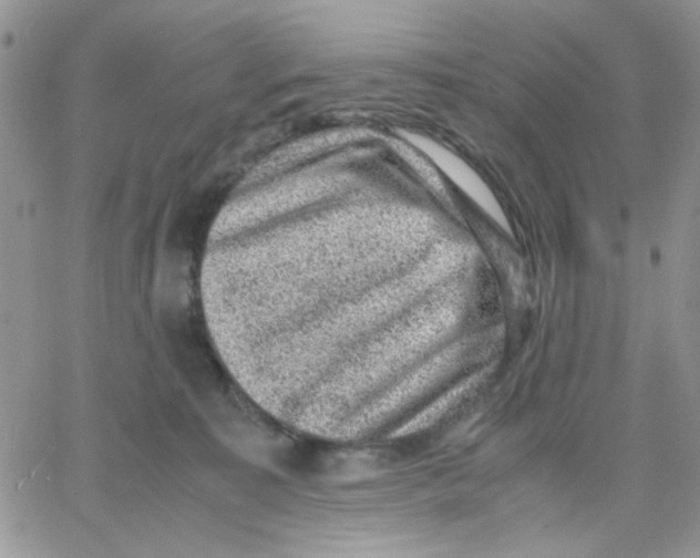 X0000066020323200603241541