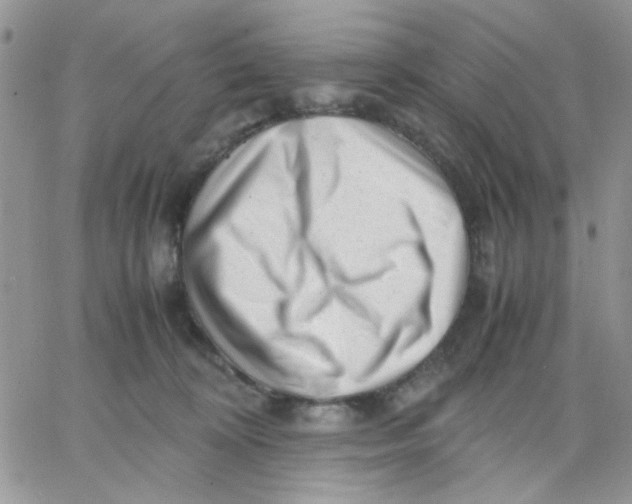 X0000066020324200603241541