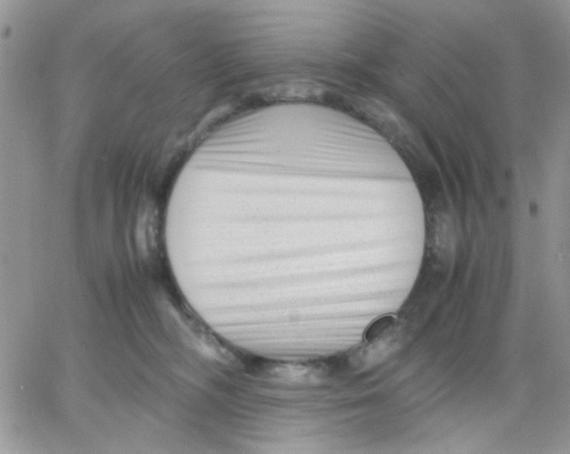 X0000066020326200603241541