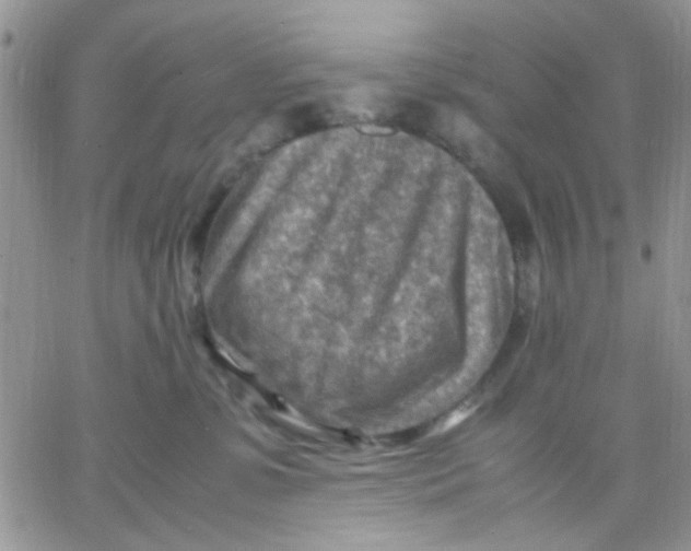 X0000066020331200603241541