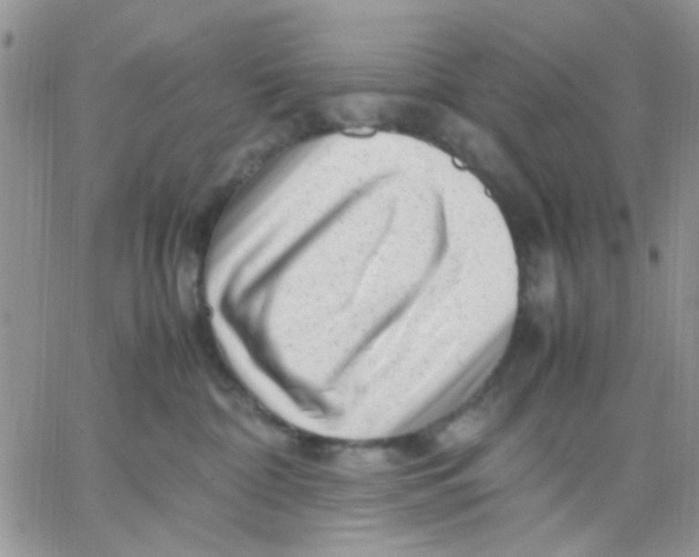 X0000066020332200603241541