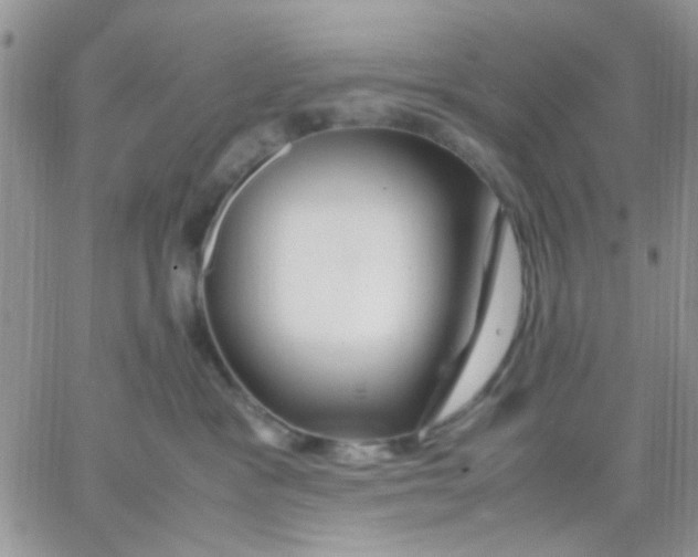 X0000066020333200603241541