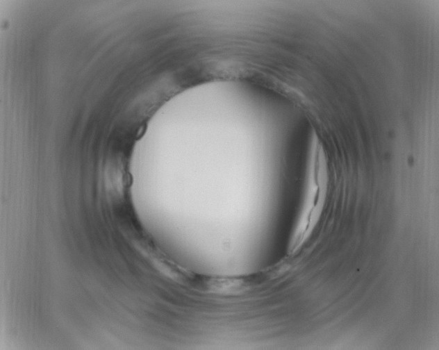 X0000066020334200603241541