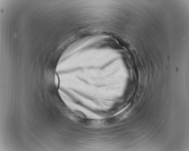 X0000066020335200603241541