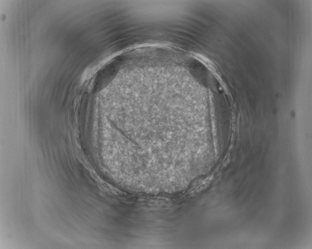 X0000066020337200603241540