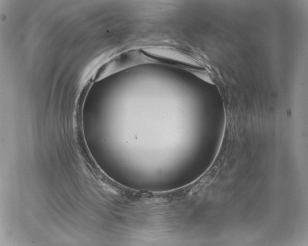 X0000066020340200603241541