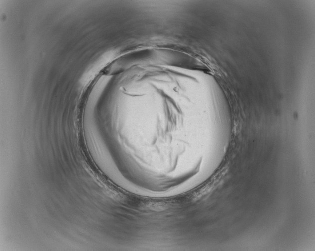 X0000066020341200603241541