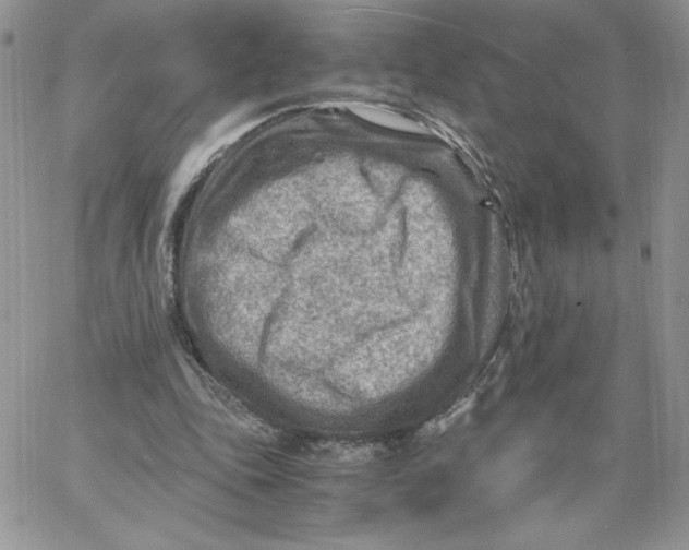 X0000066020343200603241541