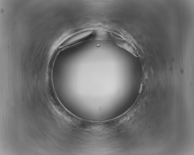 X0000066020344200603241541