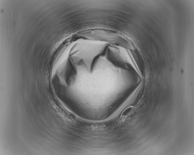 X0000066020345200603241541