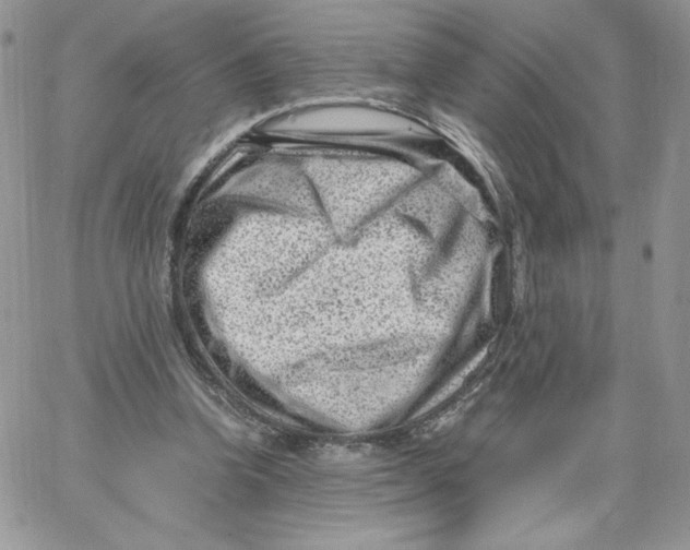 X0000066020346200603241541