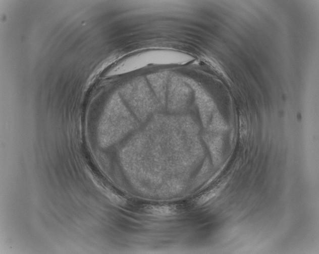 X0000066020349200603241541