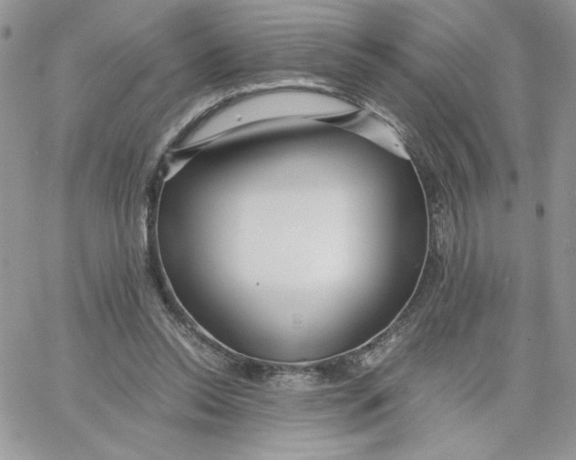 X0000066020350200603241541