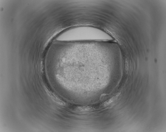 X0000066020351200603241541