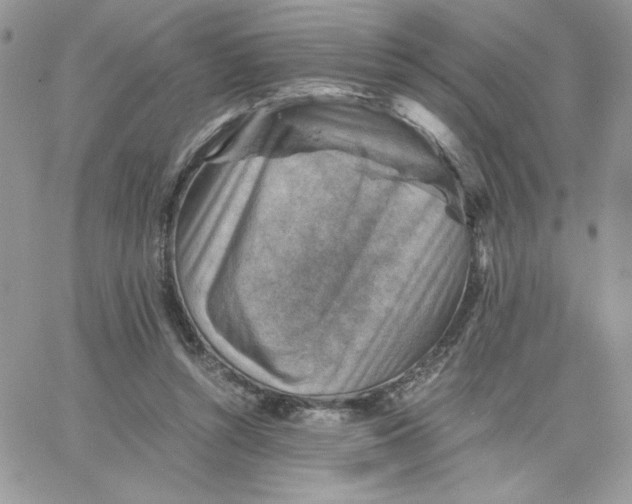 X0000066020352200603241541