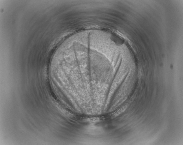 X0000066020353200603241541