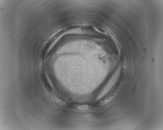 X0000066020355200603241541