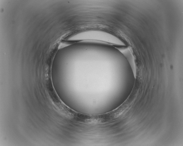 X0000066020356200603241541