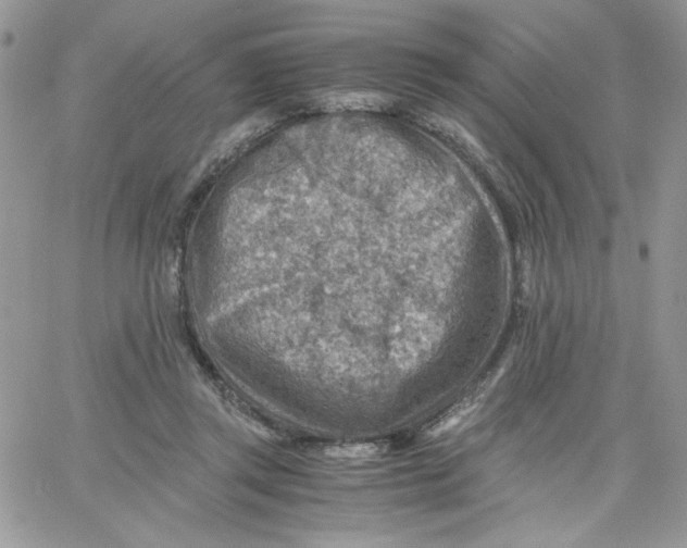 X0000066020357200603241541