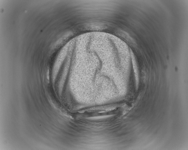 X0000066020358200603241541