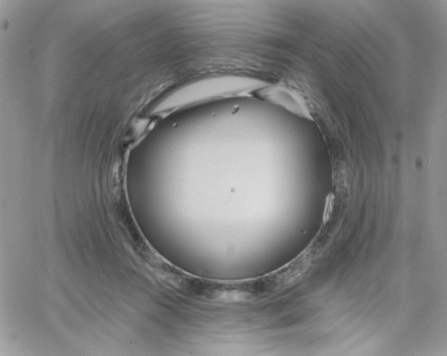 X0000066020360200603241541