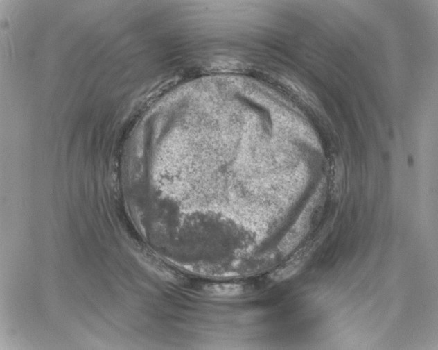 X0000066020361200603241541