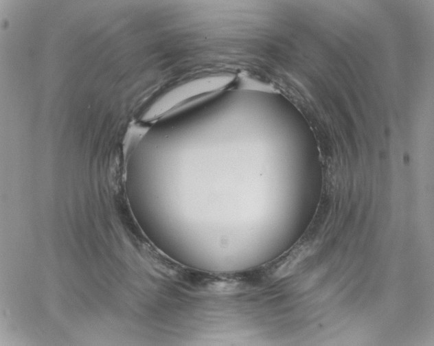 X0000066020364200603241541