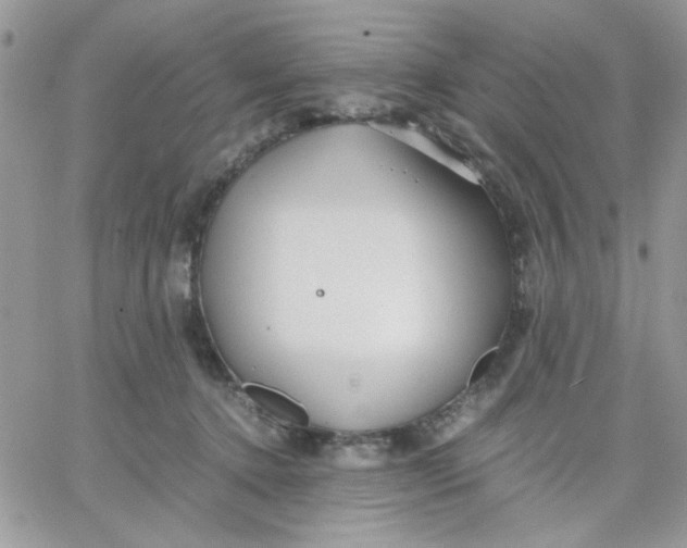 X0000066020368200603241541