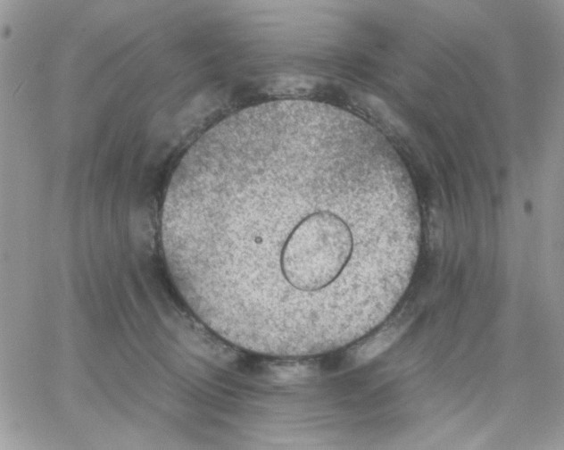 X0000066020370200603241541