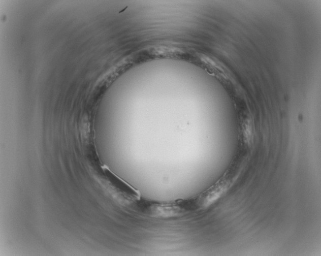 X0000066020372200603241541