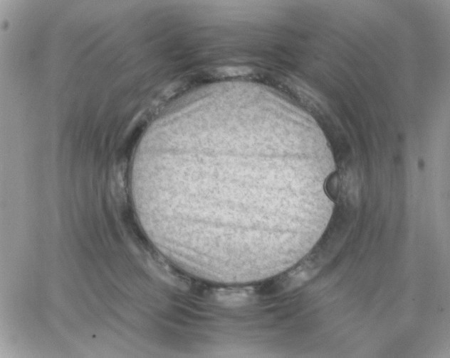 X0000066020373200603241541